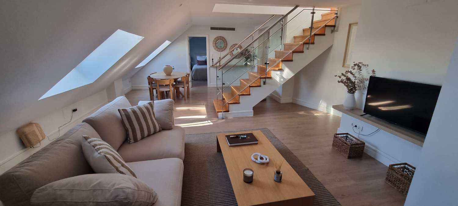 Penthouse with garage for sale