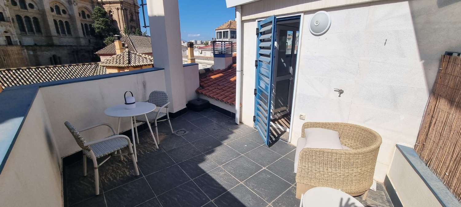 Penthouse with garage for sale