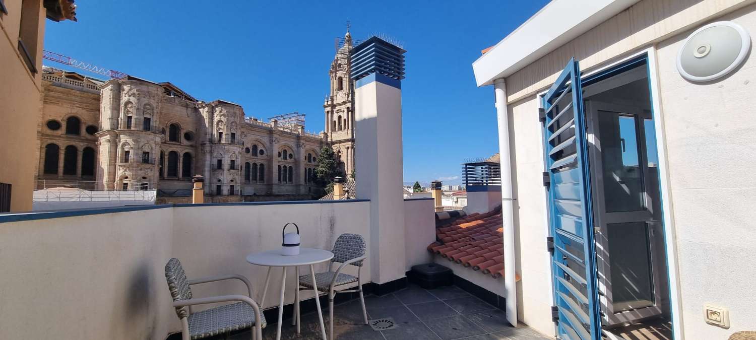 Penthouse with garage for sale