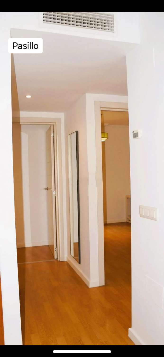 PISO EN ALQUILER LARGA TEMPORADA
