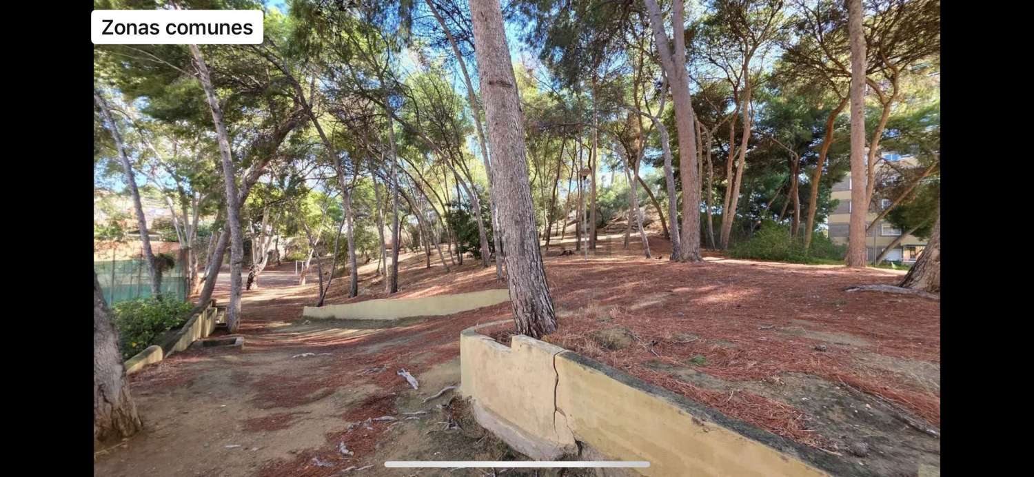 Piso con garaje en Venta