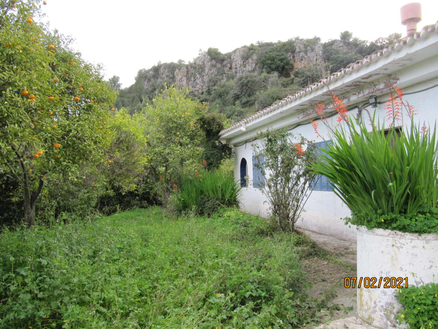 Casa con terreno