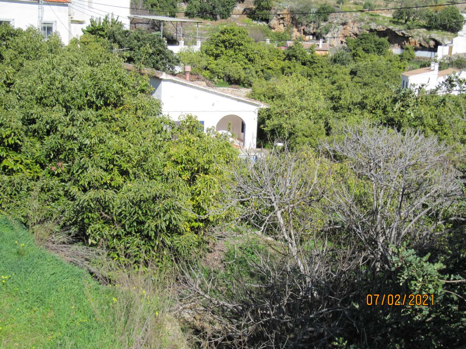 Casa con terreno