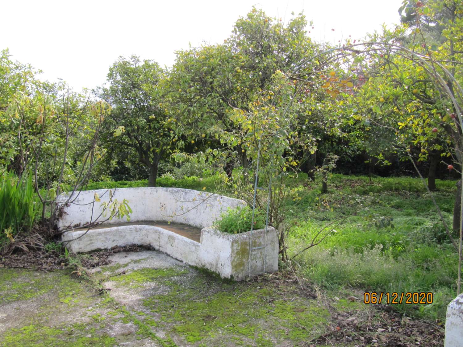 Casa con terreno